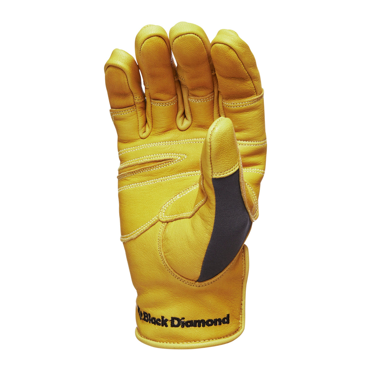 Transition Gloves | Black Diamond Great Value
